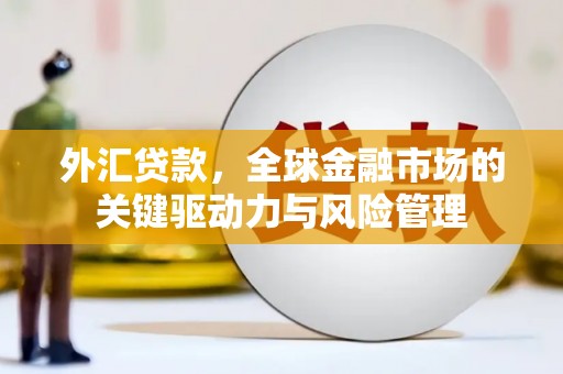 贵州外汇贷款，全球金融市场的关键驱动力与风险管理