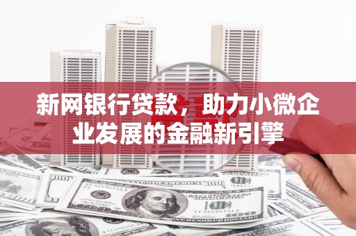 贵州新网银行贷款，助力小微企业发展的金融新引擎