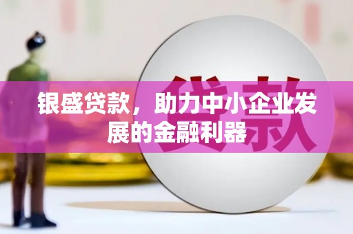 贵州银盛贷款，助力中小企业发展的金融利器