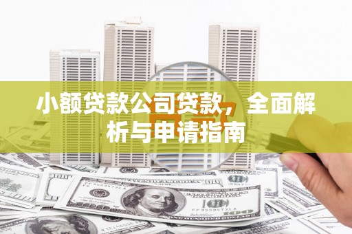 贵州小额贷款公司贷款，全面解析与申请指南