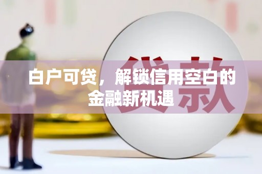 贵州白户可贷，解锁信用空白的金融新机遇
