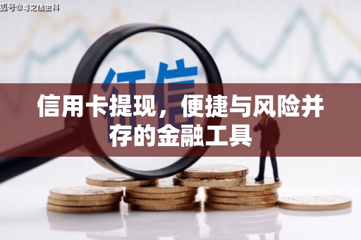 贵州信用卡提现，便捷与风险并存的金融工具
