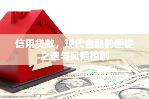 贵州信用贷款，现代金融的便捷之选与风险控制