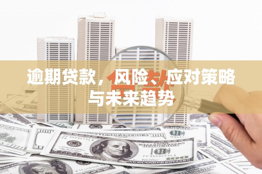 贵州逾期贷款，风险、应对策略与未来趋势