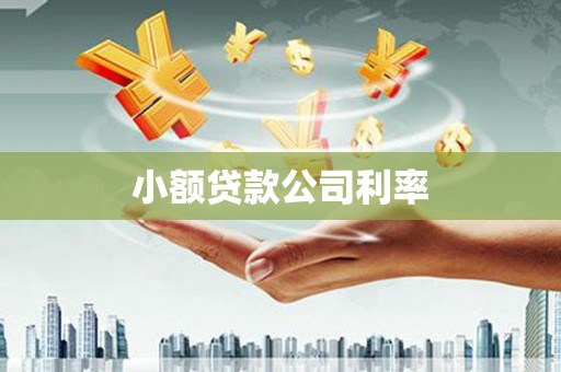 贵州小额贷款公司利率