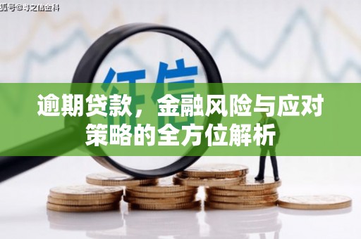 贵州逾期贷款，金融风险与应对策略的全方位解析