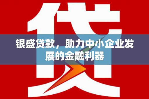 贵州银盛贷款，助力中小企业发展的金融利器