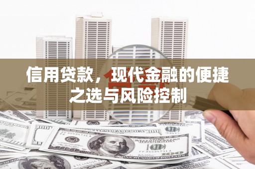贵州信用贷款，现代金融的便捷之选与风险控制