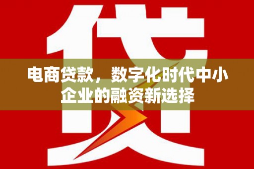 贵州电商贷款，数字化时代中小企业的融资新选择