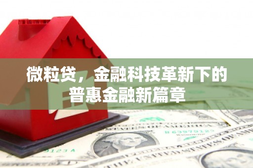 贵州微粒贷，金融科技革新下的普惠金融新篇章