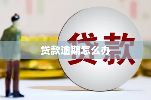 贵州贷款逾期怎么办