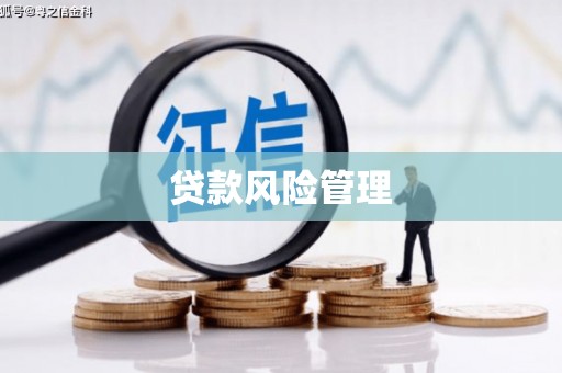 贵州贷款风险管理