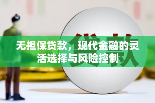 贵州无担保贷款，现代金融的灵活选择与风险控制