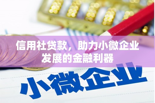 贵州信用社贷款，助力小微企业发展的金融利器