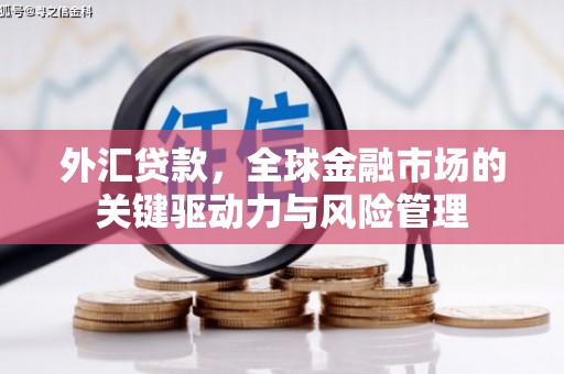 贵州外汇贷款，全球金融市场的关键驱动力与风险管理