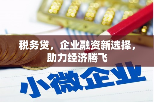 贵州税务贷，企业融资新选择，助力经济腾飞