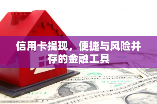 贵州信用卡提现，便捷与风险并存的金融工具