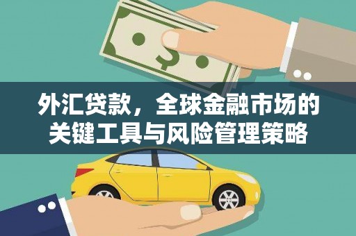 贵州外汇贷款，全球金融市场的关键工具与风险管理策略