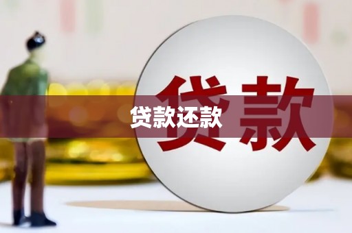 贵州贷款还款