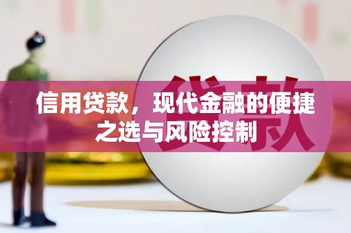 贵州信用贷款，现代金融的便捷之选与风险控制