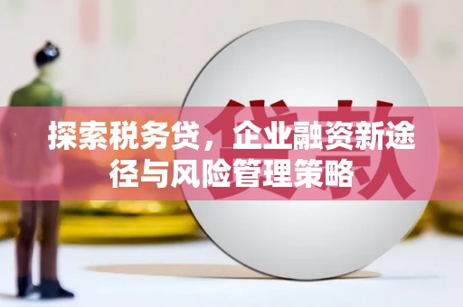 贵州探索税务贷，企业融资新途径与风险管理策略
