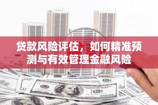 贵州贷款风险评估，如何精准预测与有效管理金融风险