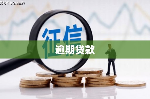 贵州逾期贷款