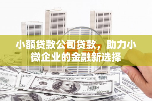 贵州小额贷款公司贷款，助力小微企业的金融新选择