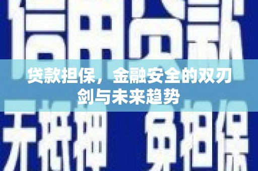 贵州贷款担保，金融安全的双刃剑与未来趋势