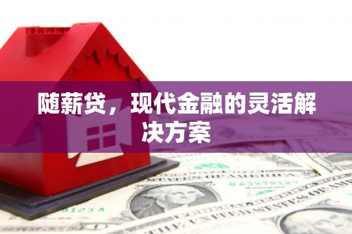 贵州随薪贷，现代金融的灵活解决方案