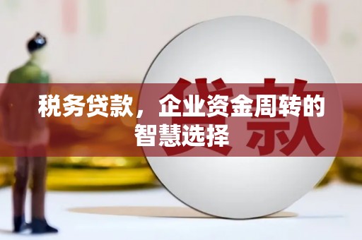 贵州税务贷款，企业资金周转的智慧选择