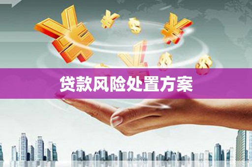 贵州贷款风险处置方案