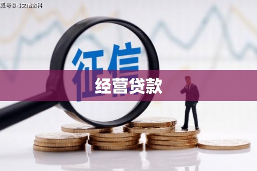 贵州经营贷款