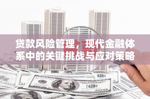 贵州贷款风险管理，现代金融体系中的关键挑战与应对策略