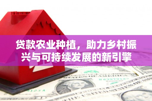 贵州贷款农业种植，助力乡村振兴与可持续发展的新引擎