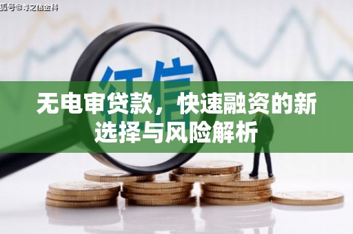 贵州无电审贷款，快速融资的新选择与风险解析