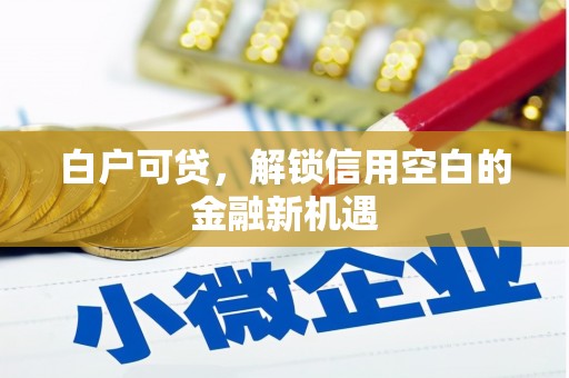 贵州白户可贷，解锁信用空白的金融新机遇