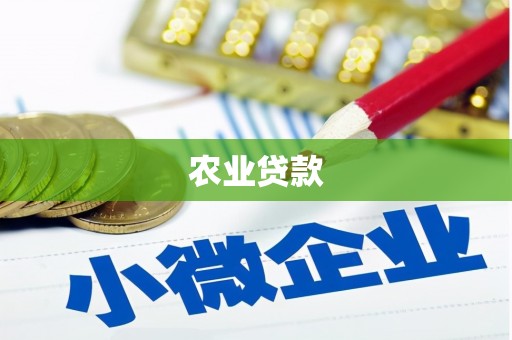 贵州农业贷款