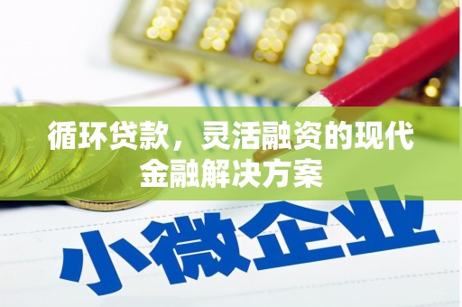 贵州循环贷款，灵活融资的现代金融解决方案