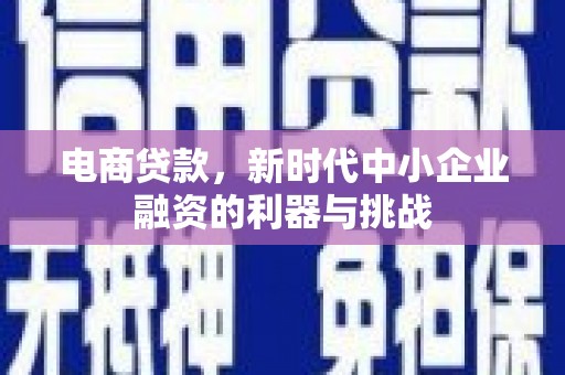 贵州电商贷款，新时代中小企业融资的利器与挑战