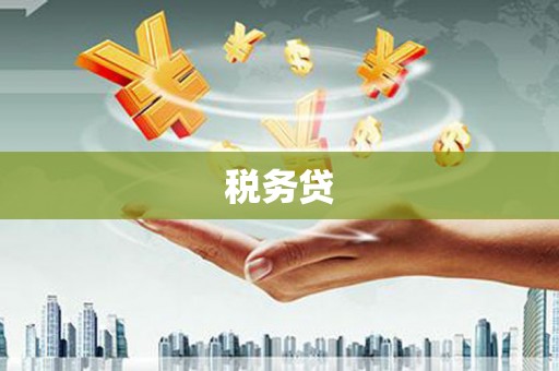 贵州税务贷