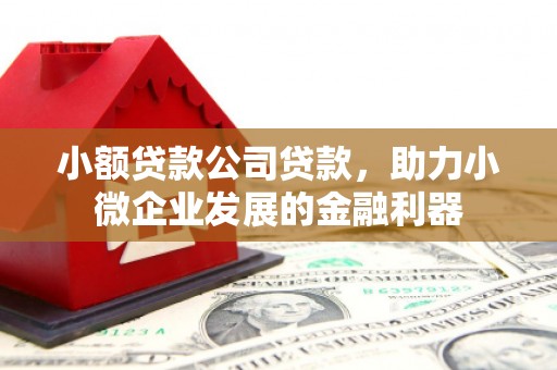 贵州小额贷款公司贷款，助力小微企业发展的金融利器