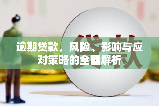 贵州逾期贷款，风险、影响与应对策略的全面解析