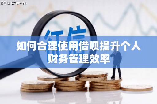 贵州如何合理使用借呗提升个人财务管理效率