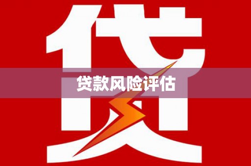贵州贷款风险评估