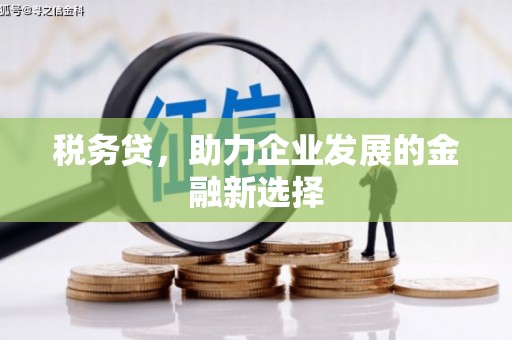贵州税务贷，助力企业发展的金融新选择