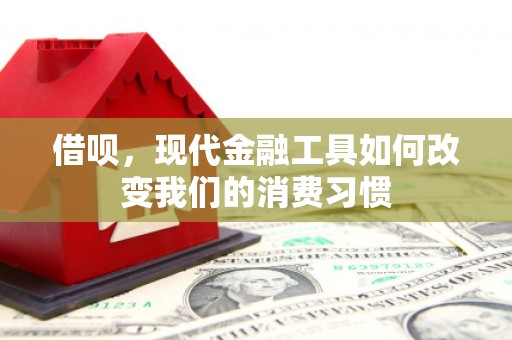 贵州借呗，现代金融工具如何改变我们的消费习惯