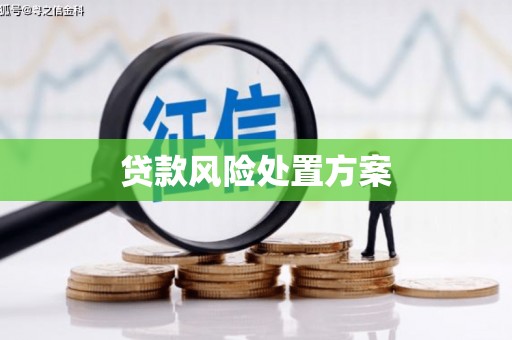 贵州贷款风险处置方案