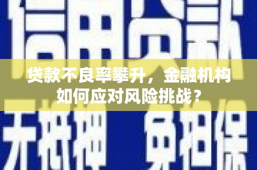 贵州贷款不良率攀升，金融机构如何应对风险挑战？