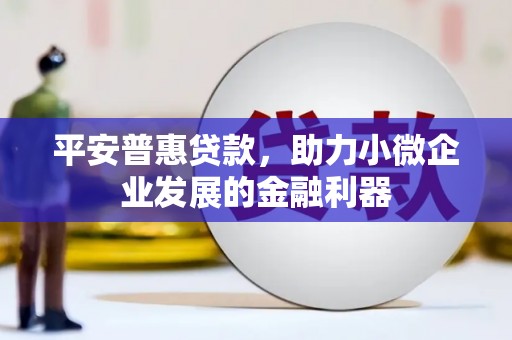 贵州平安普惠贷款，助力小微企业发展的金融利器